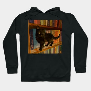 Little Library Cat Hoodie